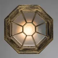 Уличный потолочный светильник Arte Lamp PEGASUS A3121PF-1BN