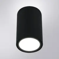 Уличный потолочный светильник Arte Lamp TORCULAR A1807PF-1BK
