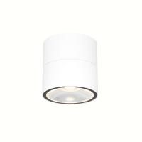 Уличный потолочный светильник Outdoor O310CL-L12W3K