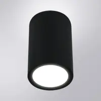 Уличный потолочный светильник Arte Lamp TORCULAR A1307PF-1BK