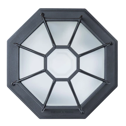 Уличный потолочный светильник Arte Lamp PEGASUS A3100PL-1BK