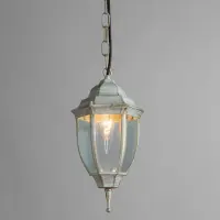 Уличный подвесной светильник Arte Lamp PEGASUS A3151SO-1WG