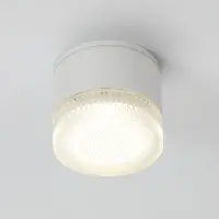 Уличный потолочный светильник Arte Lamp PIAUTOS A1926PF-1WH