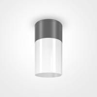 Уличный потолочный светильник Outdoor O418CL-01GR