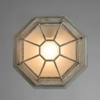Уличный потолочный светильник Arte Lamp PEGASUS A3121PF-1WG