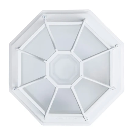 Уличный потолочный светильник Arte Lamp PEGASUS A3100PL-1WH