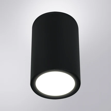 Уличный потолочный светильник Arte Lamp TORCULAR A1307PF-1BK