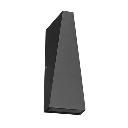 Фасадный светильник Arte Lamp COMETA A1524AL-2BK