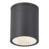 SL9514.712.01 Светильник уличный потолочный ST-Luce серый/белый LED 1*12W 3000K/4000K/6500K TUBO