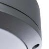 Уличный потолочный светильник Arte Lamp CITY A8154PF-2GY