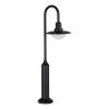 SL9512.405.01 Светильник уличный напольный ST-Luce черный/Прозрачный LED 1*10W 4000K PROCHE