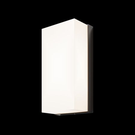 Уличный настенный светильник Outdoor O454WL-L10GF3K