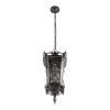 Уличный подвесной светильник LOFT IT Tremezzo 100019P BS