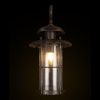 Уличный настенный светильник LOFT IT Palermo 100015W