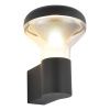 SL9541.701.01 Светильник уличный настенный ST-Luce темно-серый LED 1*6W 3000K DROP