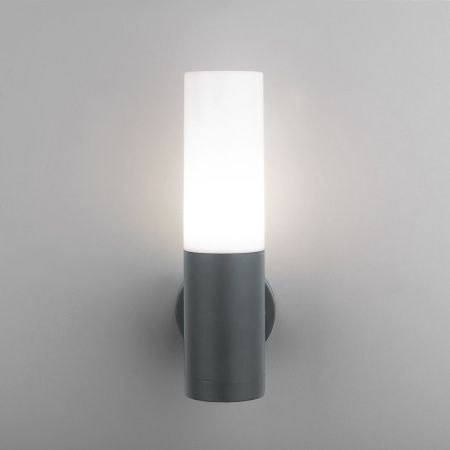 Уличный настенный светильник Elektrostandard Glas 1418 TECHNO