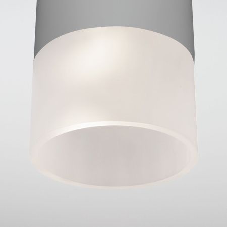 Уличный потолочный светильник Elektrostandard Light LED 35139/H