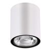 Уличный потолочный светильник Novotech Tumbler 358012 белый
