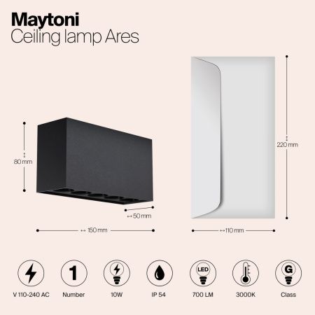 Уличный потолочный светильник Outdoor O309CL-L10GF3K