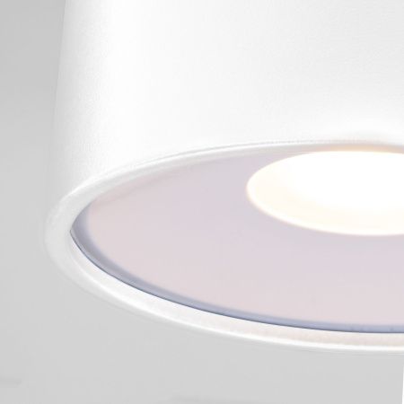 Уличный потолочный светильник Elektrostandard Light LED 35141/H