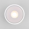 Уличный потолочный светильник Elektrostandard Light LED 35141/H