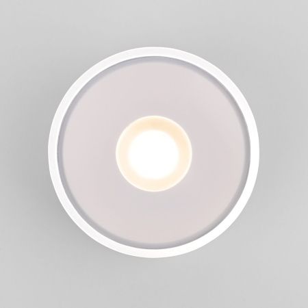 Уличный потолочный светильник Elektrostandard Light LED 35141/H