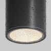 Уличный потолочный светильник Outdoor O306CL-L12GF