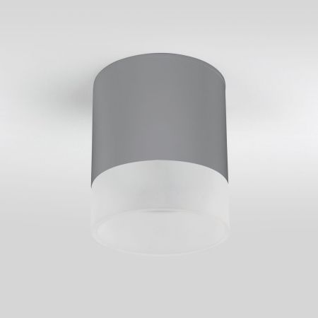 Уличный потолочный светильник Elektrostandard Light LED 35140/H