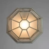 Уличный потолочный светильник Arte Lamp PEGASUS A3121PF-1WG