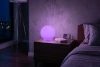 Шар-светильник для дома Moonlight 220V 30 см RGB