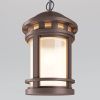 Уличный подвесной светильник Outdoor O031PL-01BR