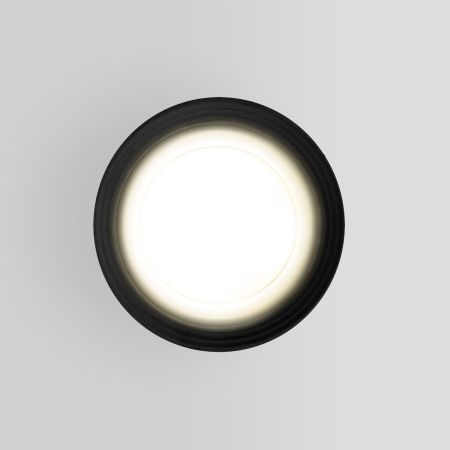 Уличный потолочный светильник Elektrostandard Light 35128/H черный