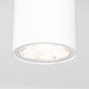 Уличный потолочный светильник Elektrostandard Light LED 35129/H