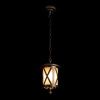 Уличный подвесной светильник LOFT IT Ravenna 100016P
