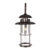 Уличный настенный светильник LOFT IT Palermo 100015W