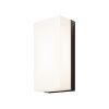 Уличный настенный светильник Outdoor O454WL-L10GF3K