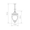 Уличный подвесной светильник Elektrostandard Andromeda GLYF-8024H
