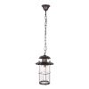 Уличный подвесной светильник LOFT IT Palermo 100015P