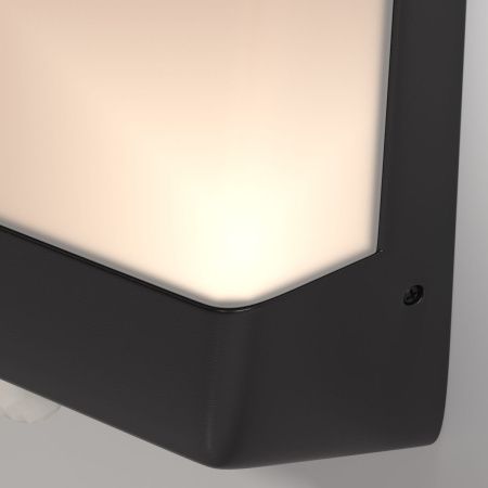 Уличный настенный светильник Outdoor O448WL-L9GF3KSR