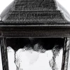 Уличный подвесной светильник Arte Lamp GENOVA A1205SO-1BS