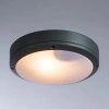Уличный потолочный светильник Arte Lamp CITY A8154PF-2GY