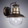 Уличный настенный светильник Arte Lamp AMSTERDAM A1523AL-1BN