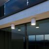 Уличный потолочный светильник Elektrostandard Light LED 35131/H