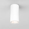 Уличный потолочный светильник Elektrostandard Light LED 35129/H