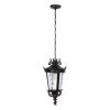 Уличный подвесной светильник LOFT IT Verona 100003P