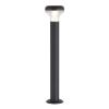 SL9541.705.01 Светильник уличный напольный ST-Luce темно-серый LED 1*6W 3000K DROP