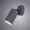 Уличный настенный светильник Arte Lamp MISTERO A3304AL-1GY