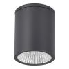 SL9514.712.01 Светильник уличный потолочный ST-Luce серый/белый LED 1*12W 3000K/4000K/6500K TUBO