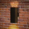 Фасадный светильник Arte Lamp ALCYONE A6109AL-2BK