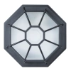 Уличный потолочный светильник Arte Lamp PEGASUS A3100PL-1BK